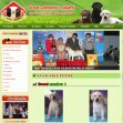 great-labrador.com