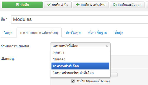 กำหนดโมดูลJoomlaให้แสดงผลเฉพาะหน้าแรก